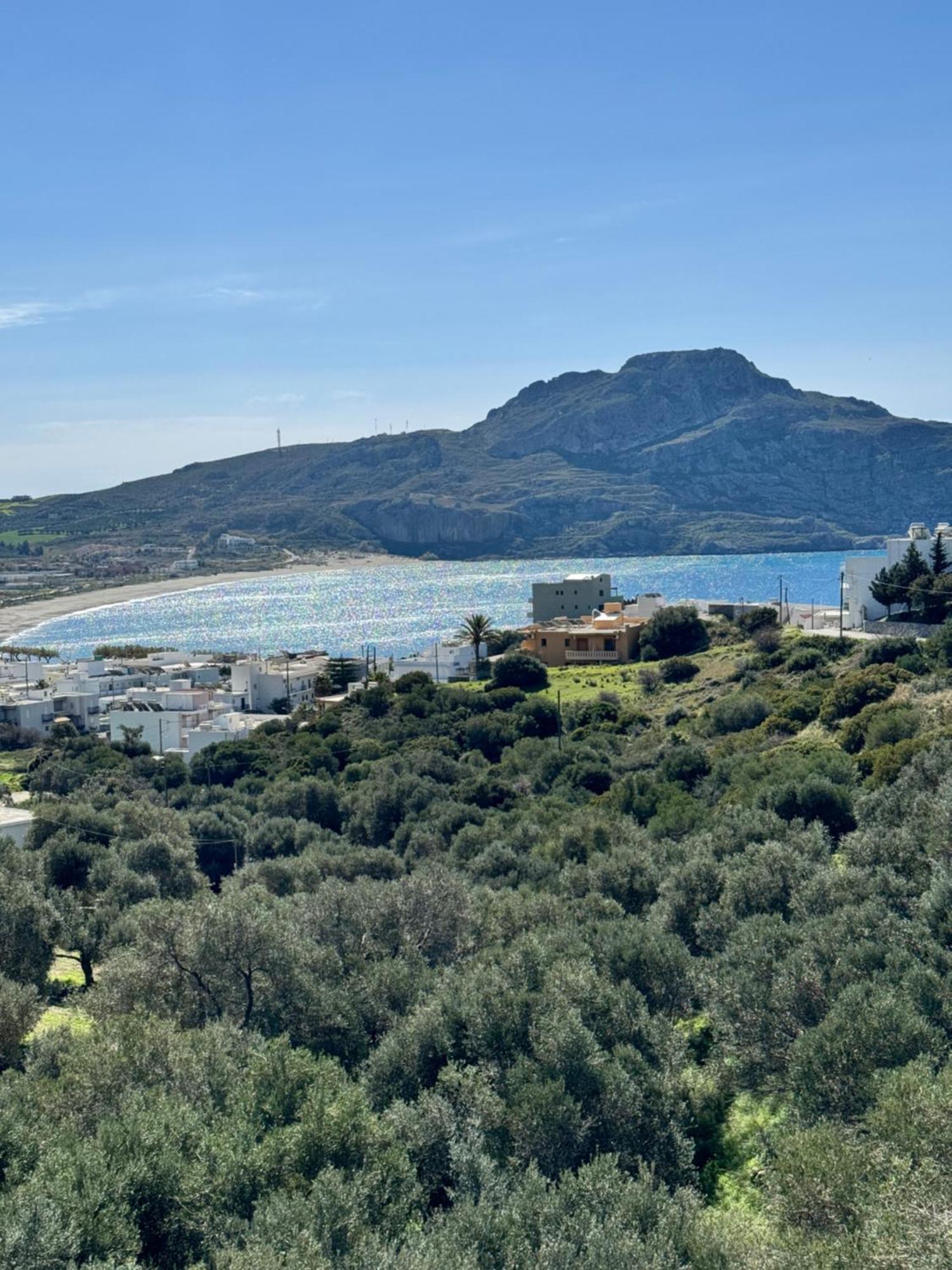 Апартаменты Olive Grove Плакиас Экстерьер фото
